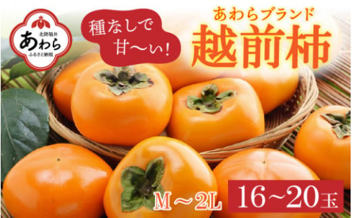 【先行予約】越前柿 16～20玉入 M～2L 《種なしで食べやすく甘い！》 あわらブランド ／ 期間限定 果物 フルーツ 産地直送 旬 お取り寄せ ※2025年10月中旬以降順次発送