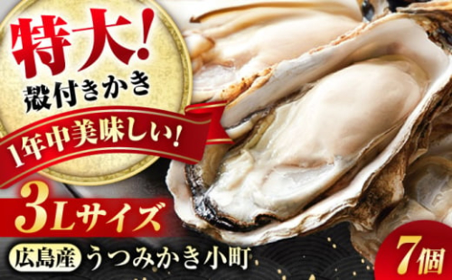 貝類 【冷蔵】 うつみかき小町殻付き 3Lサイズ×7個 広島県福山市/カネト海苔水産株式会社 牡蠣 かき 殻付 焼き牡蠣 うつみかき小町 かき小町 [BAAQ006] 401019 - 広島県福山市