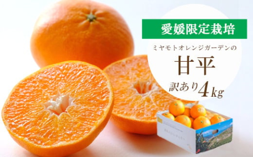 C25-54.ミヤモトオレンジガーデンの「甘平4kg」【訳あり】 401663 - 愛媛県八幡浜市