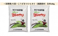 ＜定期便/全6回＞こうざきコシヒカリ（減農薬米）白米10kg