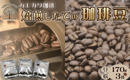【カモガワ珈琲】焙煎したてのコーヒー豆 ３種（170g×３袋）《豆》　[0016-0022]
