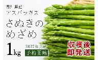 【予約受付開始！】2027年産 善通寺市産アスパラ｢さぬきのめざめ」１kg_Z2600004