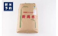 【新米受付・令和6年産米】NG4005 新潟県村上市産 特別栽培米コシヒカリ玄米900kg