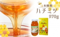 日本蜜蜂ハチミツ 970g
