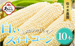 【数量限定】【期間限定】【クレジット限定】一度食べたら、また食べたくなる 甘いとうもろこし！朝採り 農家直送。当園自慢の白いスイートコーンをお届けいたします。とうもろこしサイズは、1本 25cm以上の