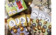神代円カード「ひらがなの字源を学ぼう」 ／ 学習カード 知育 東京都