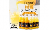 小林果園の柑橘スパークリングジュースセット(2品種・計6本)＜C24-28＞【1233619】