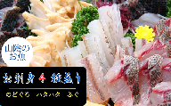 山陰のお刺身用魚4点詰合せセット(生サバ、ノドグロ、ハタハタ、フグの4種)　
