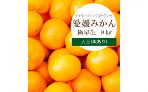 C25-74.ミヤモトオレンジガーデンの愛媛みかん大玉9kg(極早生)【訳あり】
