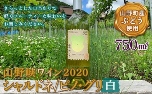 『山野峡ワイン』2020 シャルドネ／ピノ・グリ(白) F21L-896 405322 - 広島県福山市