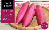 JAかとり産 サツマイモ(シルクスイート)