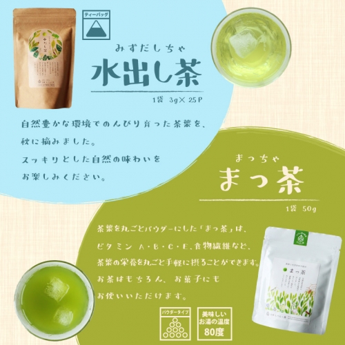 ＜有機栽培＞夏の冷茶セット【A162】  40629 - 宮崎県新富町