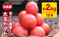 【甘くて濃厚】大玉 トマト 2kg 糸島産 《糸島》 【大櫛トマトファーム】 [AQH001]