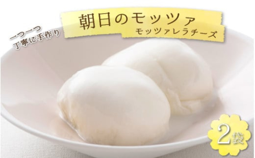 モッツァレラチーズ 2袋入り [aw054-a001]