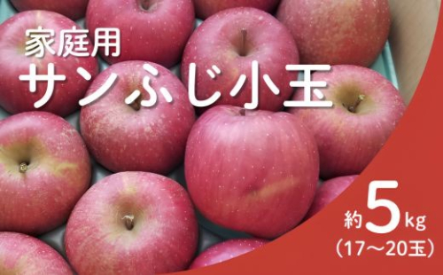 KR18 サンふじ 家庭用 小玉 約5kg（17～20玉） 長野県松川町産／11月下旬頃～配送予定//長野県 南信州 リンゴ 林檎 ふじ さんふじ 小玉サイズ 訳あり 自家用 農家直送 農家支援 産地直送