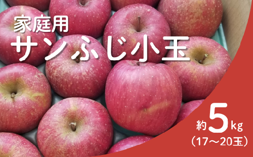 KR18-25A りんご サンふじ 家庭用【小玉】 約5kg（17～20玉） / 11月下旬頃～配送予定 // 長野県 南信州 リンゴ 林檎 ふじ さんふじ 小玉サイズ 訳あり 自家用 農家直送 農家支援 産地直送