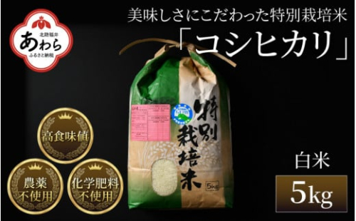 【令和6年産 新米】コシヒカリ 精米 5kg 特別栽培米 農薬不使用 化学肥料不使用 ／ 高品質 鮮度抜群 福井県産 ブランド米 白米 新米