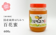 【FJ01】里地・里山のめぐみ 純粋ハチミツ（百花蜜） 600g