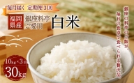 C19　【定期便3回】 福岡県産 白米 10kg ×1袋 銀座の料亭ご愛用のお米