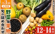 y361 《定期便・全３回》野菜と果物旬の詰め合わせ(12～14品目)【鹿児島県経済農業協同組合連合会】