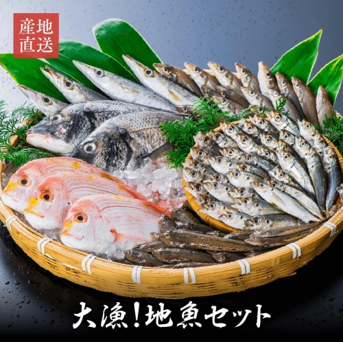 レビュー一覧 Au Pay ふるさと納税 D4 43 朝獲れ活〆 旬の地魚おまかせセット