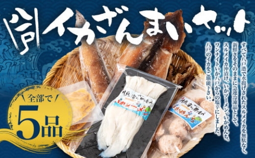 八戸 イカざんまい セット 5種 新鮮 海鮮 スルメイカ いか 409515 - 青森県八戸市