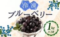 九重町産 冷凍 ブルーベリー 1kg (1kg ×1袋)  農薬不使用 果物
