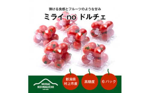 A4151 【数量・期間限定】【7月上旬から順次発送】『ミライ no ドルチェ』 新潟県村上産ミニトマト 200g程度×6パック
