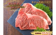 【B22-04】博多和牛サーロインステーキセット　500g（250g×2枚）