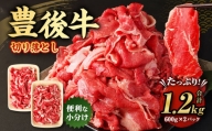 【豊後牛】切り落とし 1.2kg (600g×2) 焼肉 ステーキ 霜降り