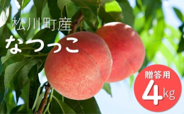 【2025年8月上旬〜8月中旬頃 発送予定】品種：なつっこ品質：贈答用容量：4kg以上（12〜16玉）【100％松川町産！もも農家より直送いたします】「川中島白桃」と「あかつき」をかけ合わせた、長野県