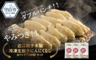 近江餃子本舗　冷凍生餃子にんにくなし3パック（108個）セット