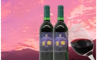 山ぶどうワイン「紫輝」2021　２本セット