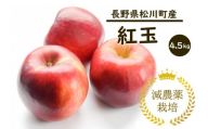 YN14-24A りんご 紅玉 約4.5kg 減農薬栽培 秀品／9月下旬頃から配送予定 //長野県 南信州 安心 安全