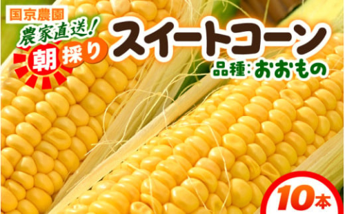 【先行予約】朝採り スイートコーン 黄色 計10本 おおもの ／ ハウス栽培 低農薬 有機肥料 フルーツ並みの甘さ 甘い とうもろこし 野菜 あわら ※2025年10月上旬より順次発送 [aw067-a003]