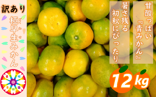 C71 4 極早生みかん 訳あり約10 5kg 愛咲果樹園 愛媛県八幡浜市 Au Pay ふるさと納税