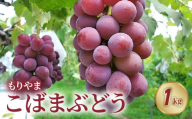 もりやまこばまぶどう1kg(2房) 採れたて 人気 品種 厳選 果物 フルーツ ブドウ 大きい粒 特産品 お取り寄せ ぶどう ブドウ もりやま 守山市 滋賀県
