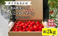 [先行予約]糸島二丈岳 [ふもとのトマト]サイズおまかせ 約2kg(専用箱入り) [2024年4月以降順次発送] 糸島市 / 株式会社さいかい [AFL002] トマト とまと