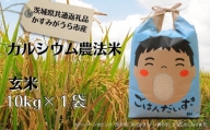 カルシウム農法米　玄米10kg（茨城県共通返礼品・かすみがうら市産）