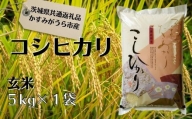 コシヒカリ　玄米5kg（茨城県共通返礼品・かすみがうら市産）