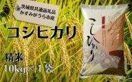 AAA-7 コシヒカリ　精米10kg（茨城県共通返礼品・かすみがうら市産）