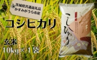 コシヒカリ　玄米10kg（茨城県共通返礼品・かすみがうら市産）
