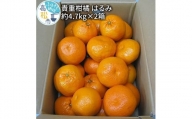 貴重柑橘　はるみ　約4.7kg×2箱【2025年2月上旬～2025年3月中旬配送】