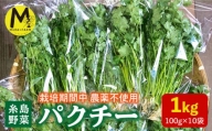 【先行予約販売】糸島産 パクチー 1kg （100g×10袋） 糸島市 / MURA FARM [AFD002]