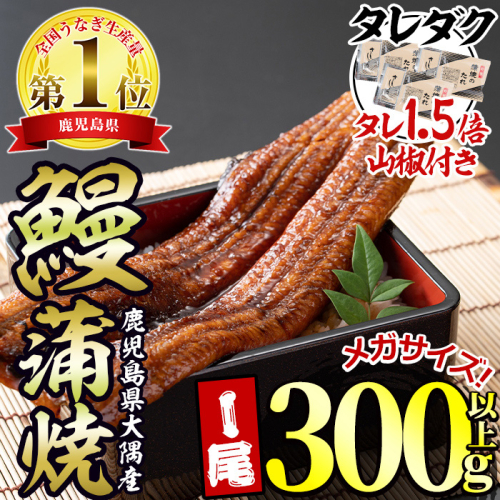 【0104312a】東串良町のうなぎ蒲焼(無頭)＜メガサイズ＞(1尾・300g以上・タレ、山椒×3個※通常の1.5倍付)うなぎ 高級 ウナギ 鰻 国産 蒲焼 蒲焼き たれ 鹿児島 ふるさと【アクアおおすみ】 415090 - 鹿児島県東串良町