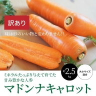 【数量限定】訳あり！こどもも食べられる甘み！「マドンナキャロット」 3kg にんじん 野菜　H105-042