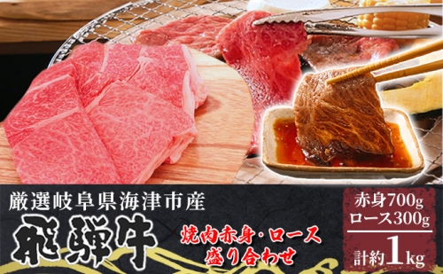 【飛騨牛】海津市産焼肉赤身・ロース盛り合わせオリジナルカット 【配達不可：離島】