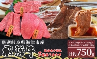 【数量限定】【飛騨牛】海津市産焼肉希少部位3種盛り合わせオリジナルカット 【配達不可：離島】