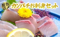 1-201【高鮮度】鮮魚活〆カンパチお刺身セット