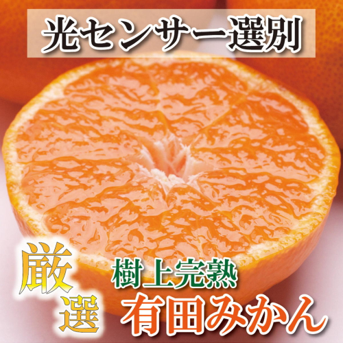 ＜先行予約＞＜11月より発送＞樹上完熟有田みかん6kg+180g（傷み補償分）【光センサー選果】※2023年11月中旬～2024年1月下旬頃に順次発送予定※北海道・沖縄・離島への配送不可 415649 - 和歌山県美浜町